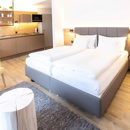 In - Oberoesterreich 41145 Apartment Hinterstoder